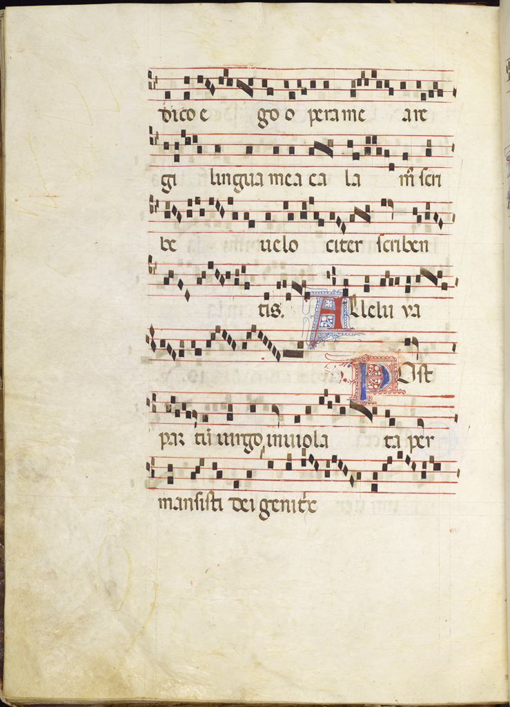 cover-image