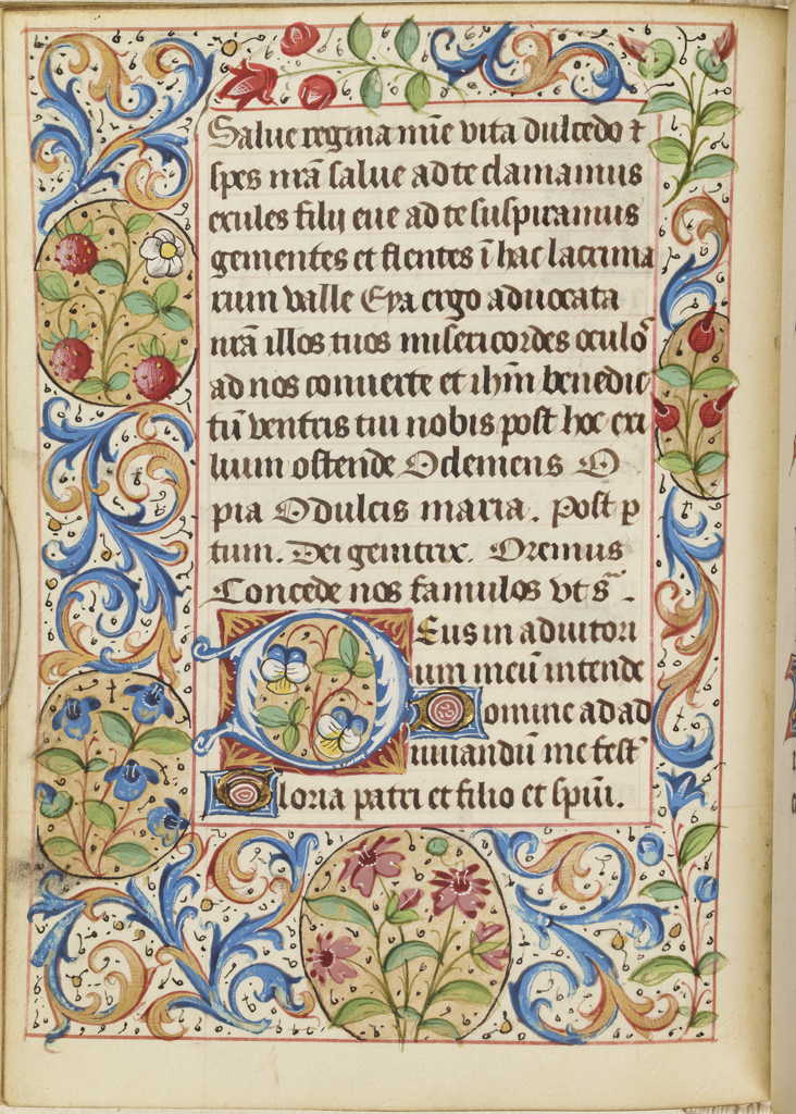 cover-image