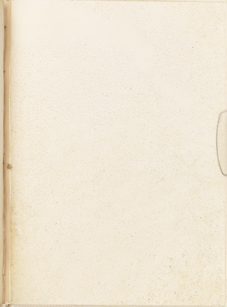 cover-image
