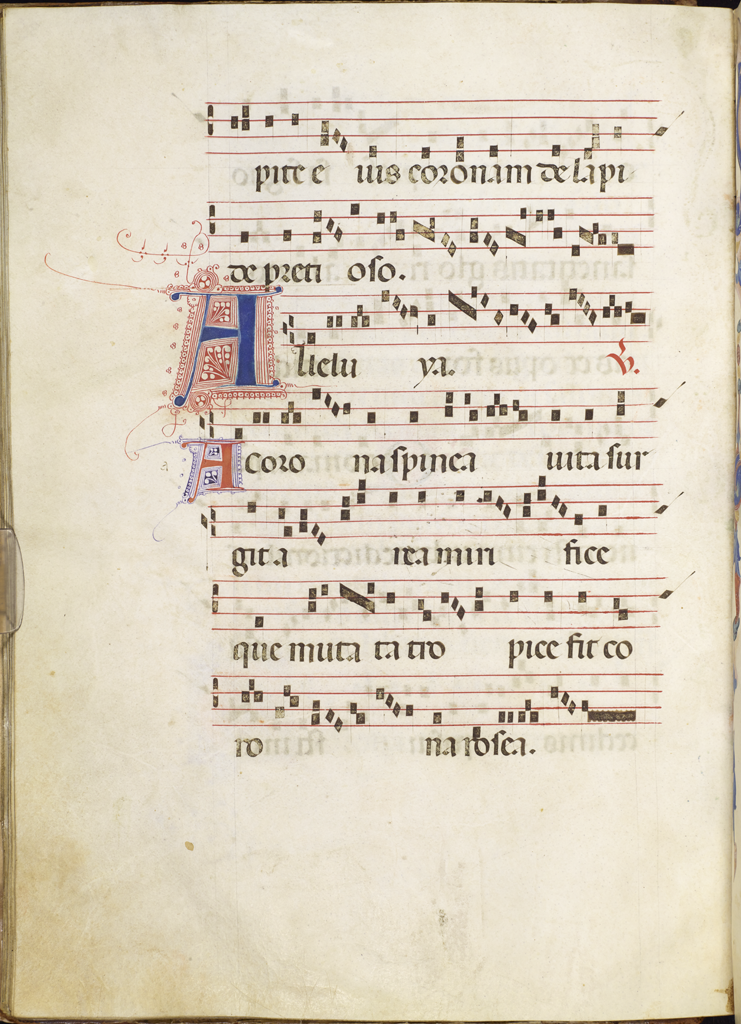 cover-image