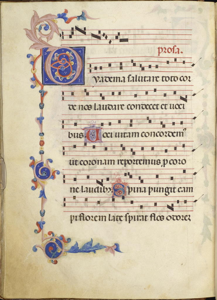 cover-image
