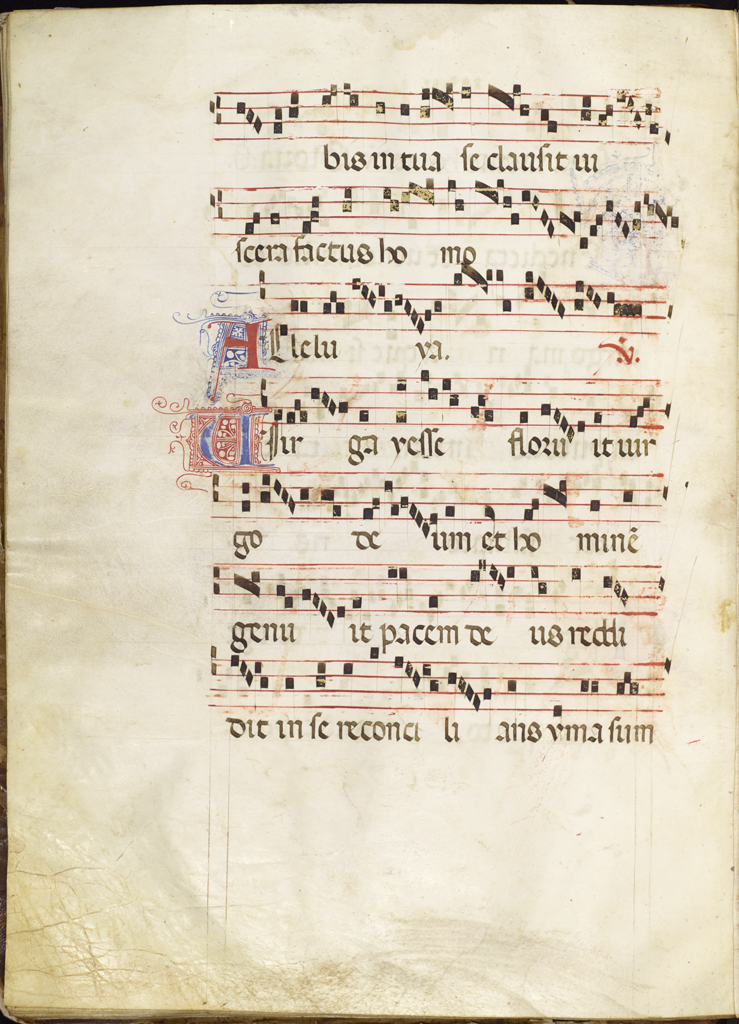 cover-image