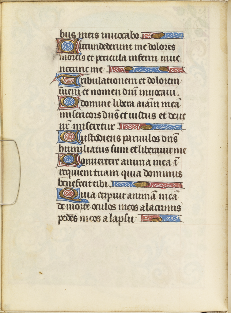 cover-image