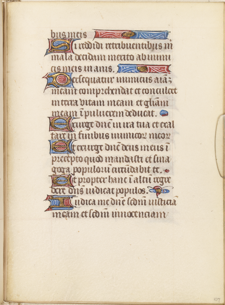 cover-image