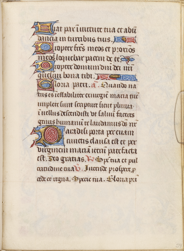 cover-image