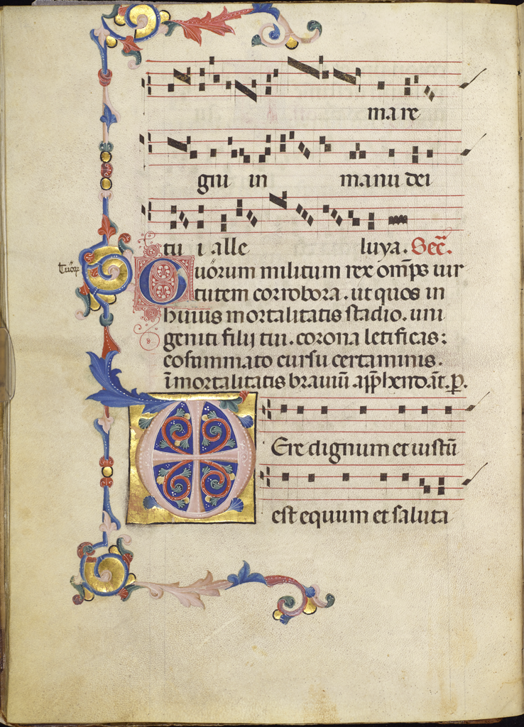 cover-image
