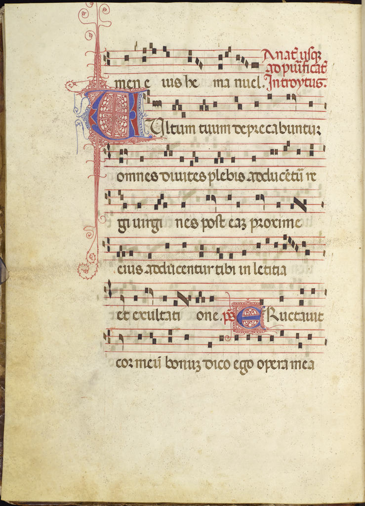 cover-image