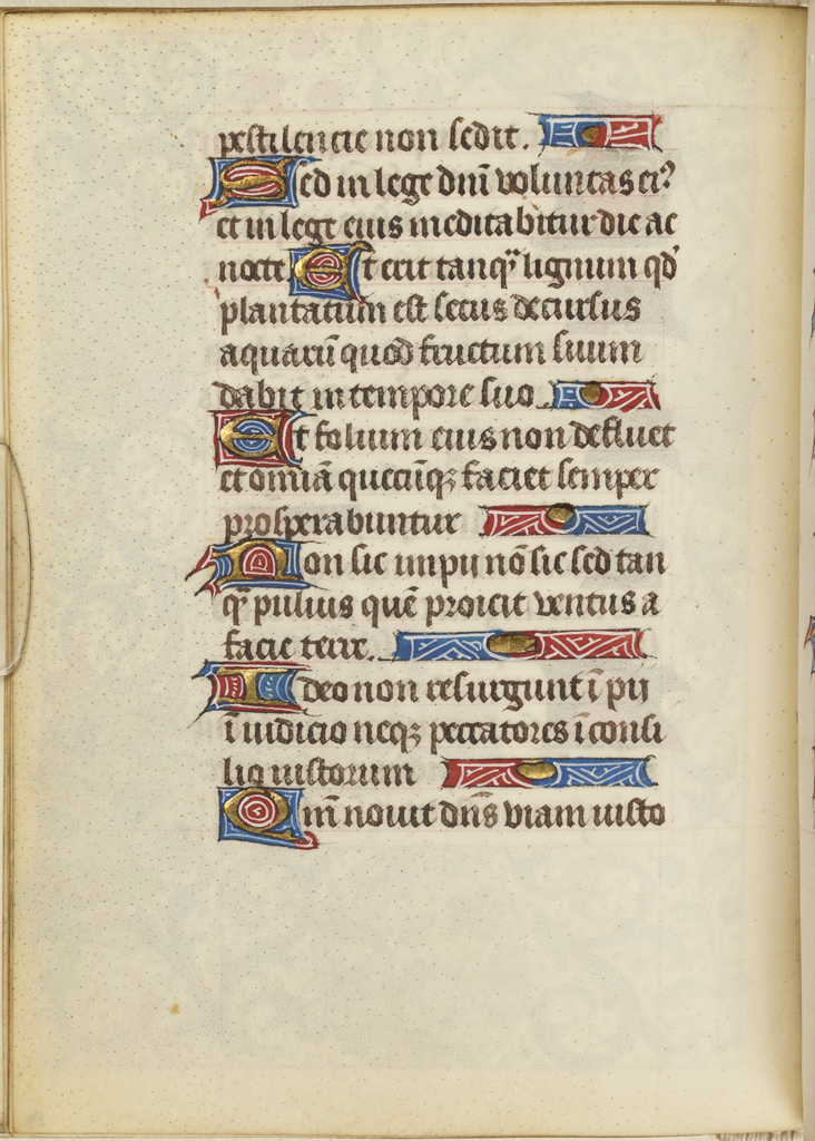 cover-image