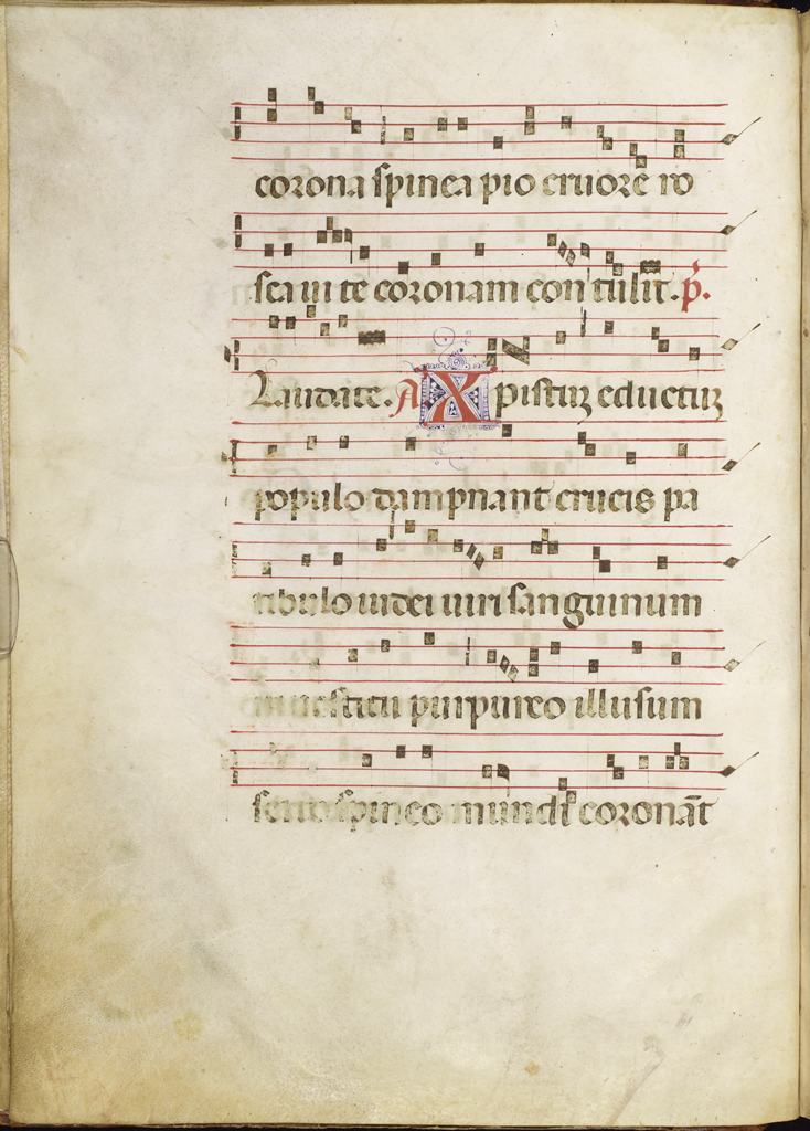 cover-image