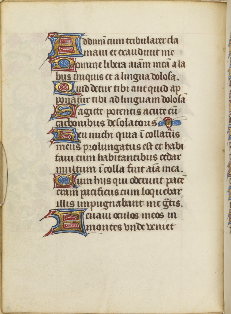 cover-image