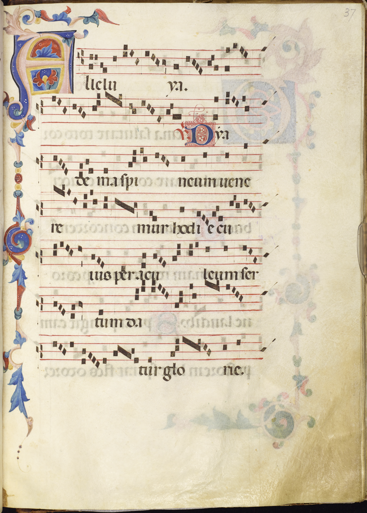 cover-image