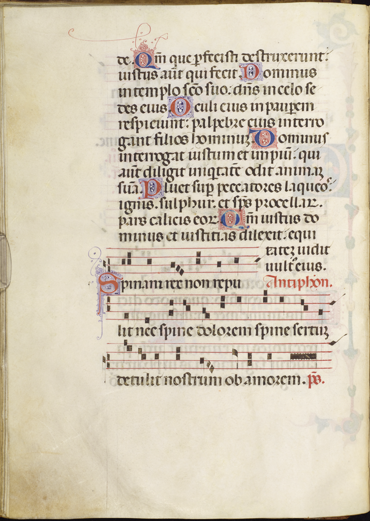 cover-image