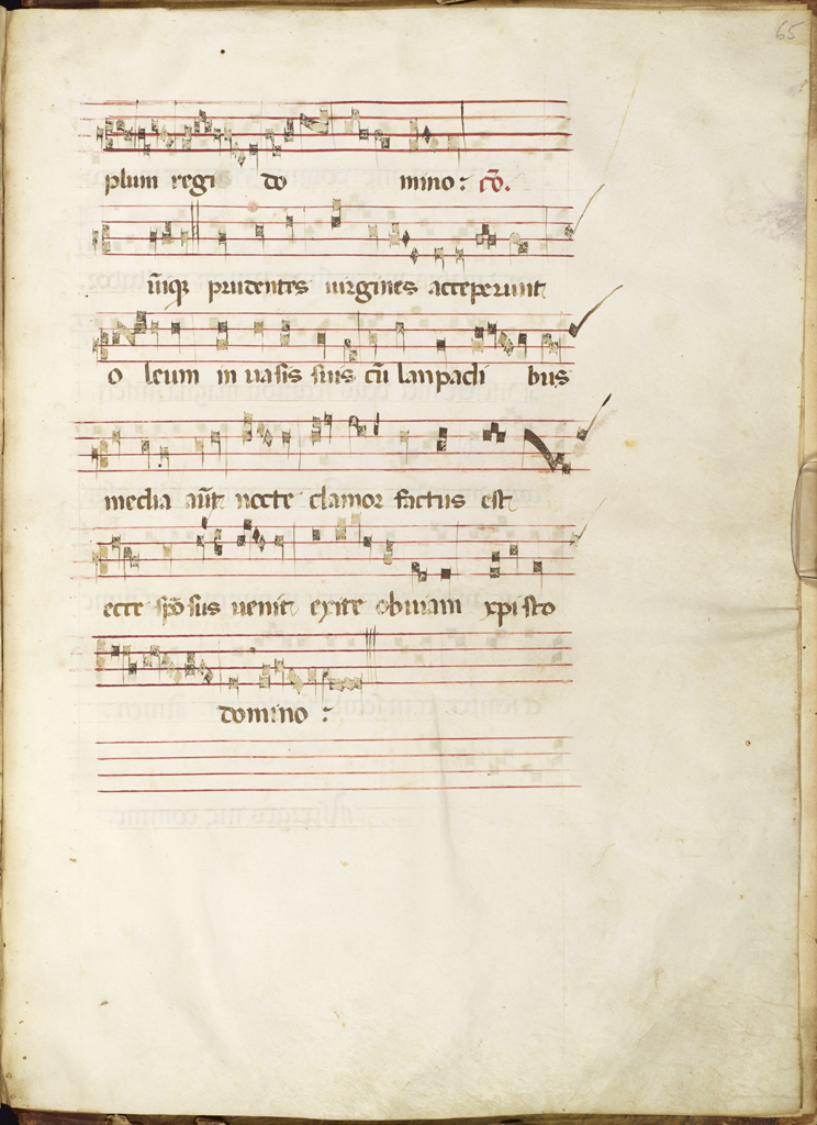 cover-image
