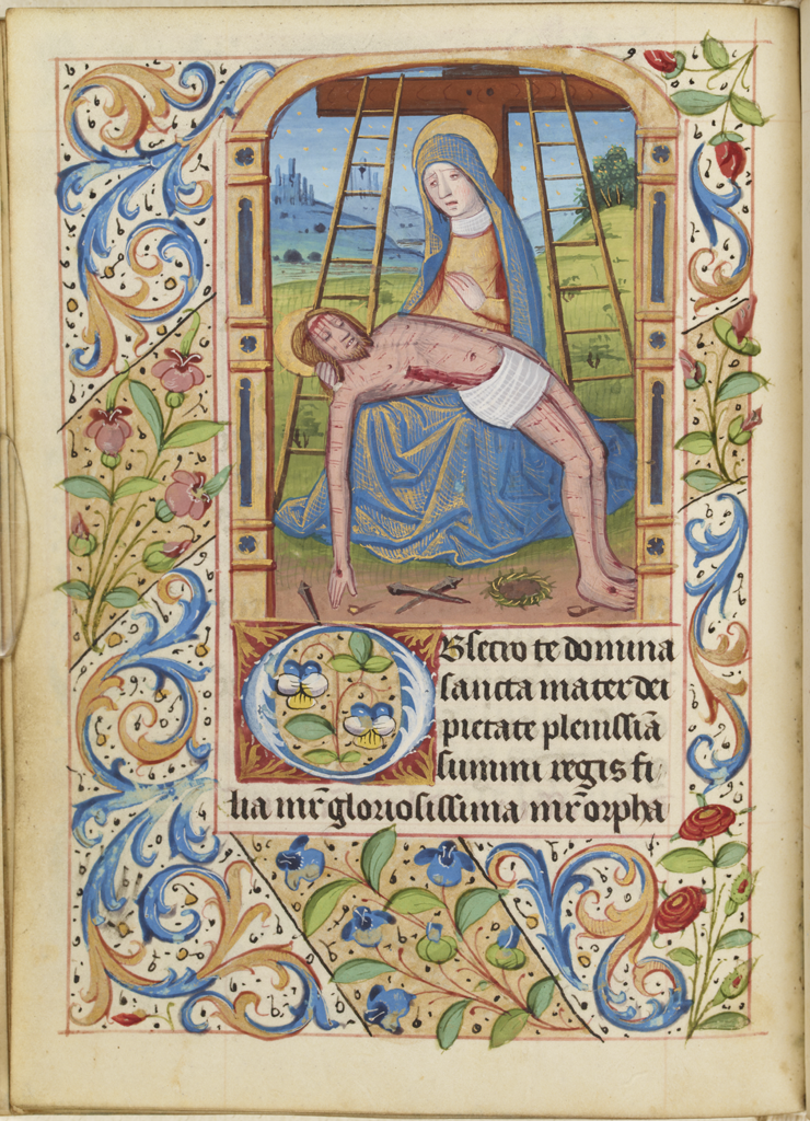 cover-image