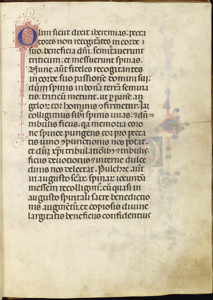 cover-image