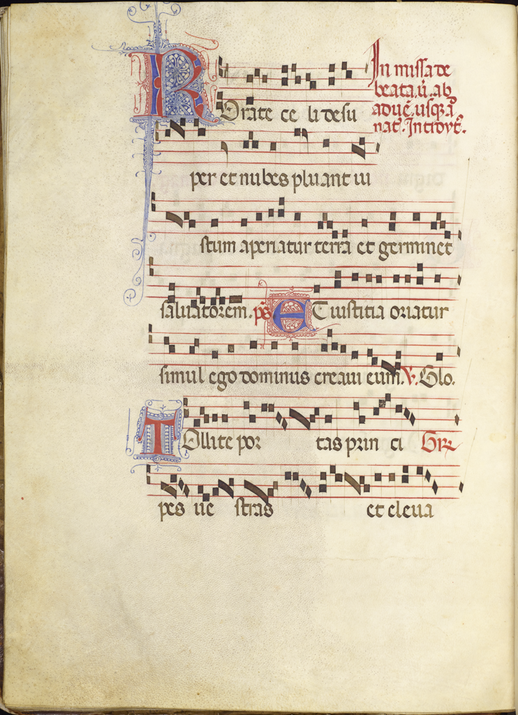 cover-image
