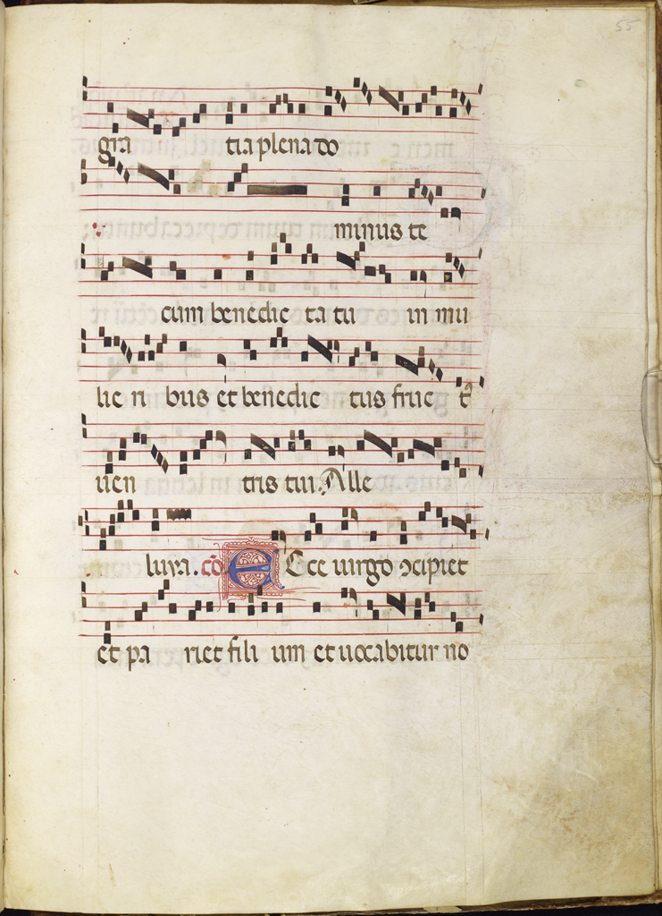 cover-image