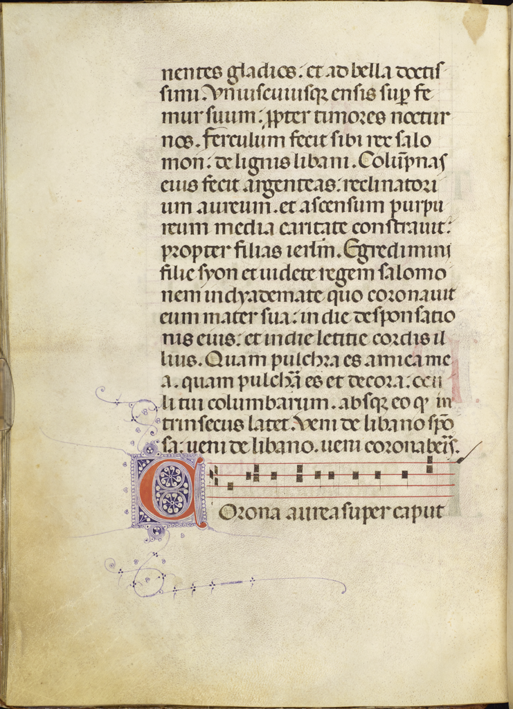cover-image