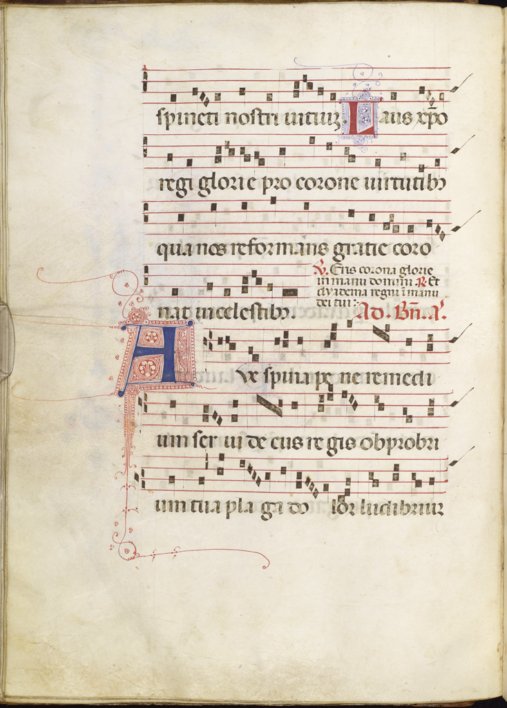 cover-image