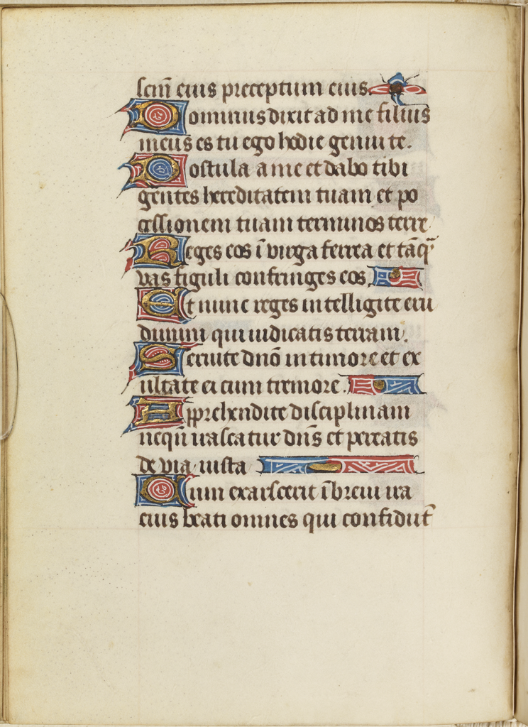 cover-image