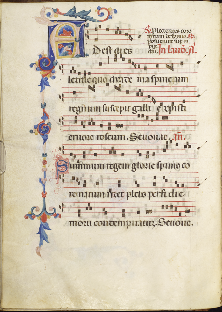 cover-image