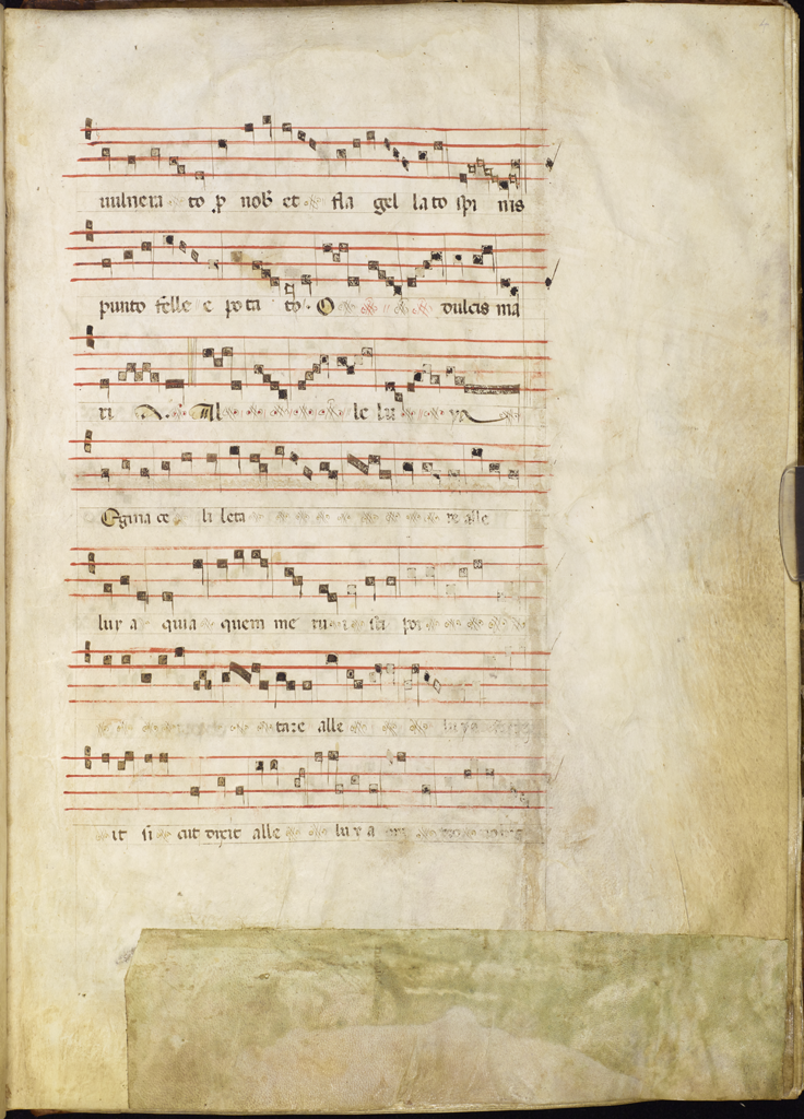cover-image