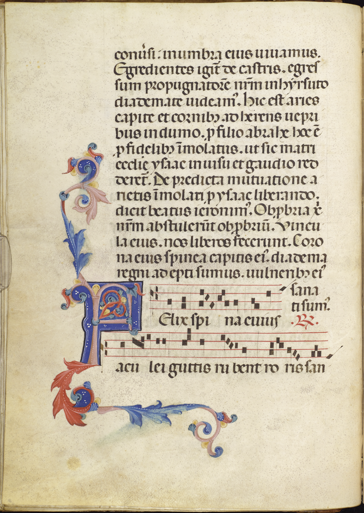 cover-image