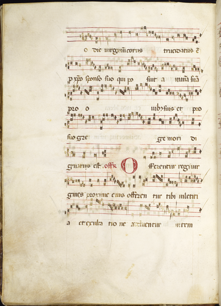 cover-image