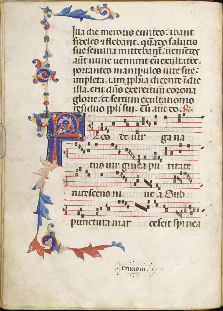 cover-image